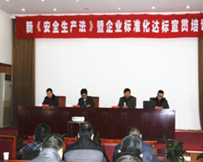 安全生產(chǎn)標準化